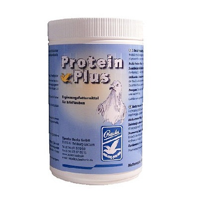 backs protein plus