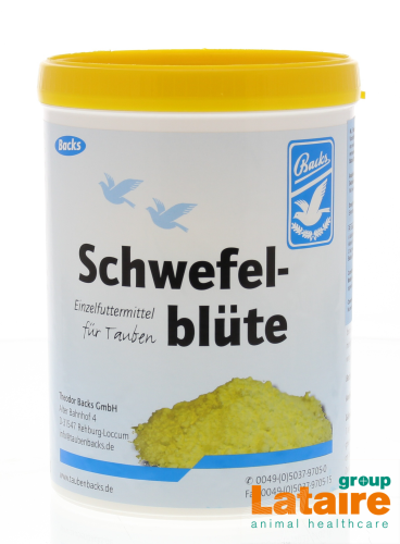 backs schwefelblute