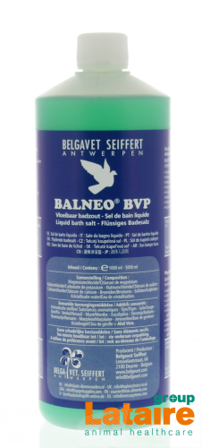 balneo bvp