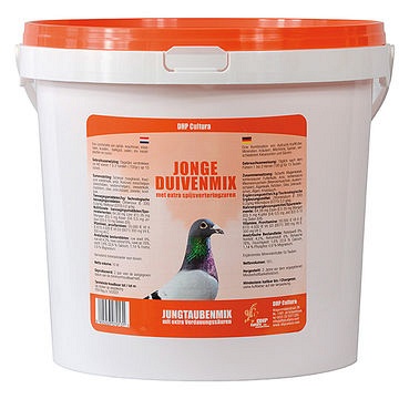 dhp jonge duiven mix