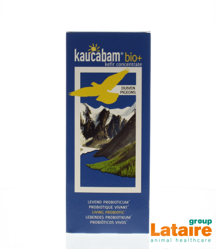kaucabam