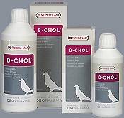 b-chol