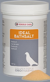ideal badzout