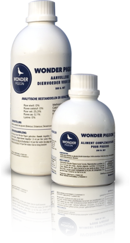 wonderpigeon