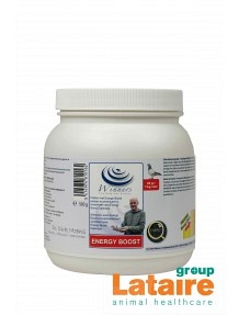 winners energy boost