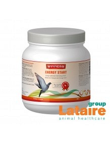 winners energy sart