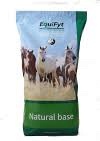 natural base