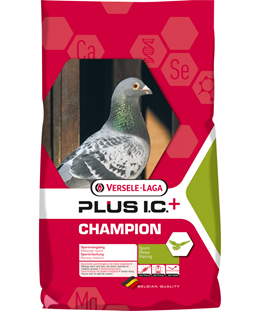 champion