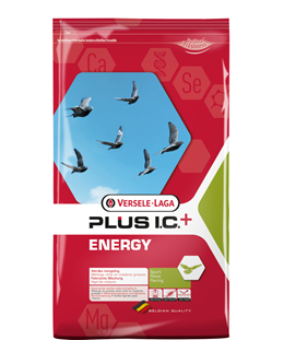 energy plus