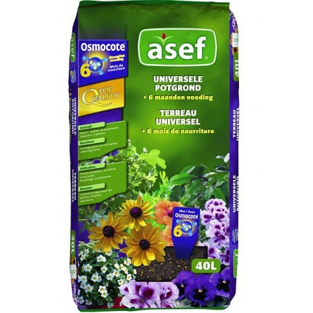 asef40
