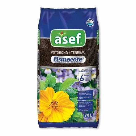 asef70