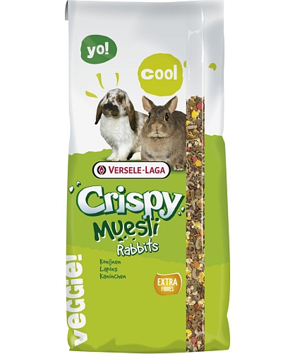 crispyrabbits