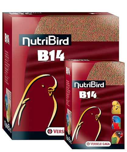 b14