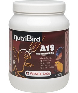 a19