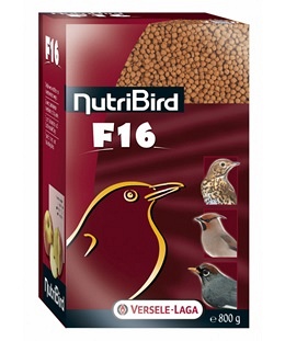 f16