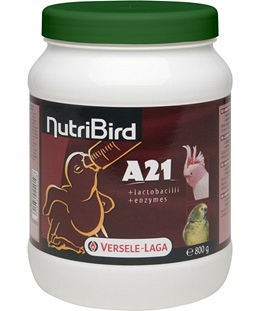 a21