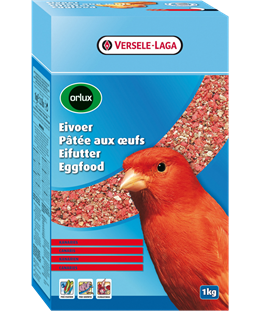 eivoer
