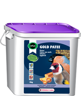 goldpateeinlandse