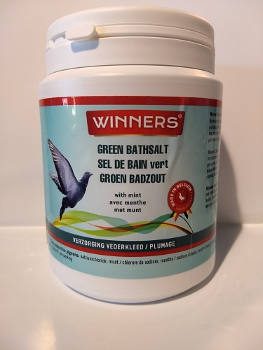 winners badzout