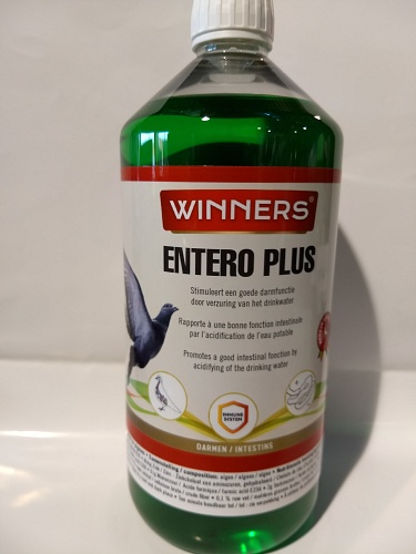 winnersentero