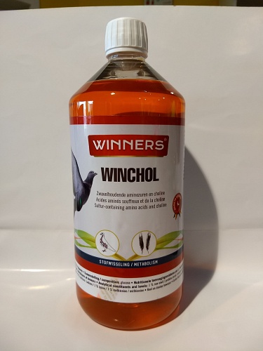 winnerswinchol