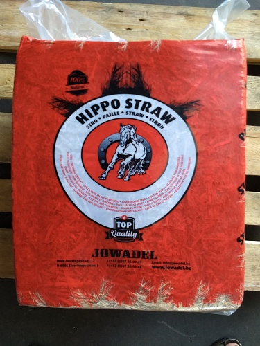 hippostraw