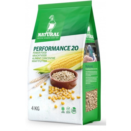 performance