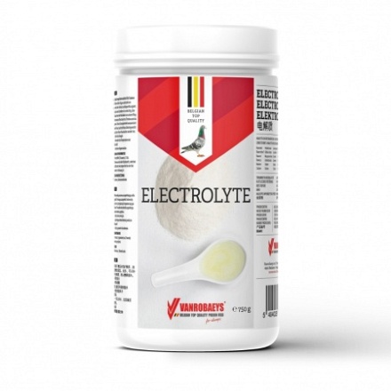 electrolyte