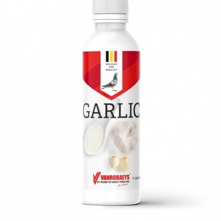 garlic