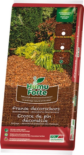 humufortesierschors