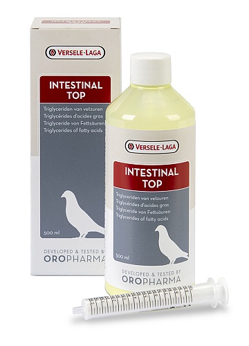 intestinal