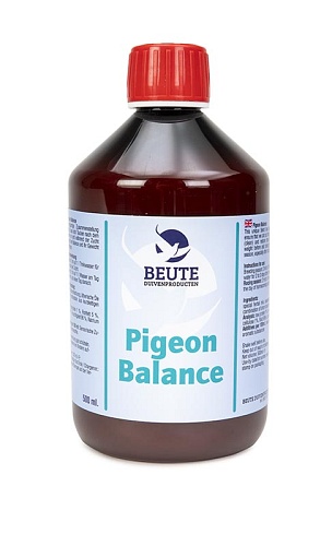beutepigeonbalance