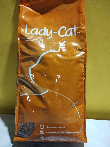 ladycat