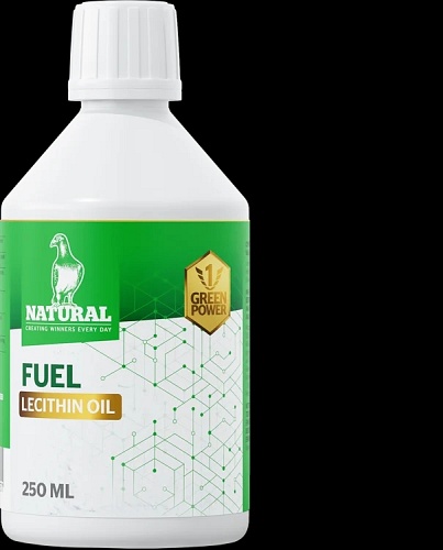 greenpowerfuel