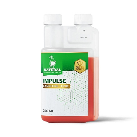 greenpowerimpuls