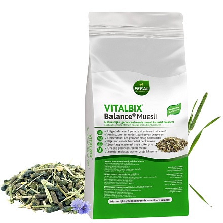 vitalbixbalance+