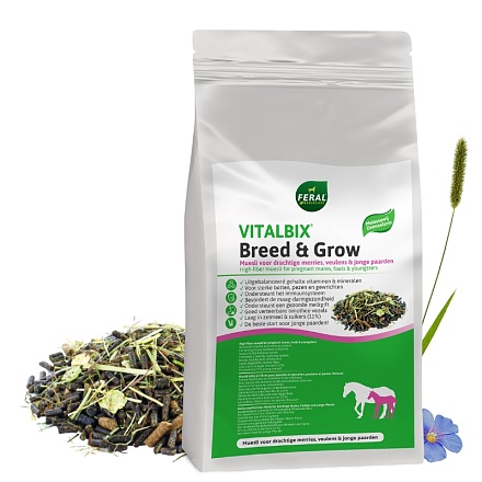 vitalbixbreedgrow