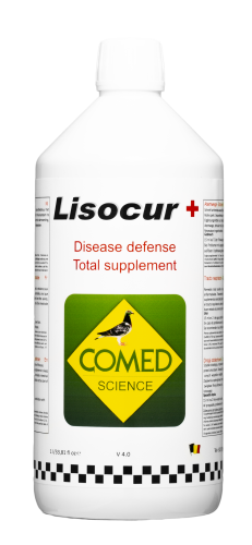lysocur forte