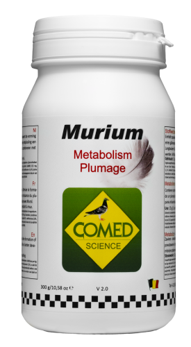 murium