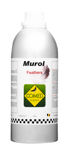 murol
