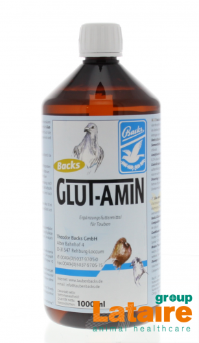 backs glut-amin 1 l