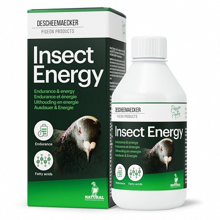 dpcenergyoil