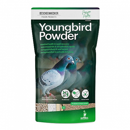 youngbird