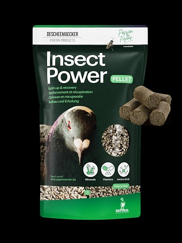 insectpowerpellet