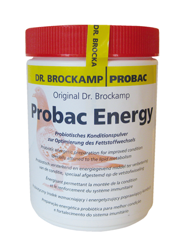 probac energy