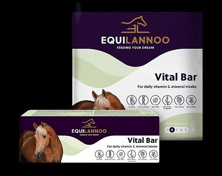 eqlvitalbar