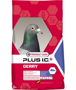 gerry
