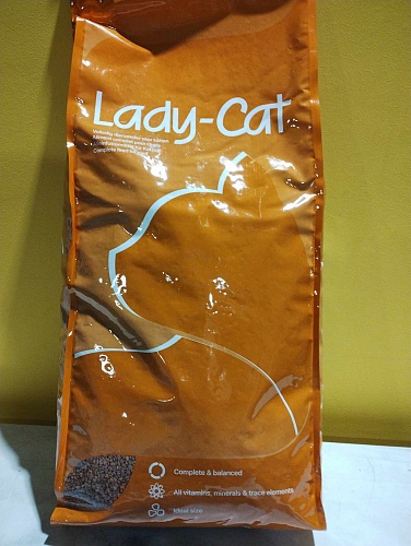 ladycat