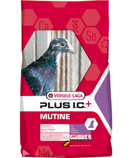 mutine