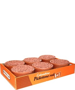 pickstoneredtray